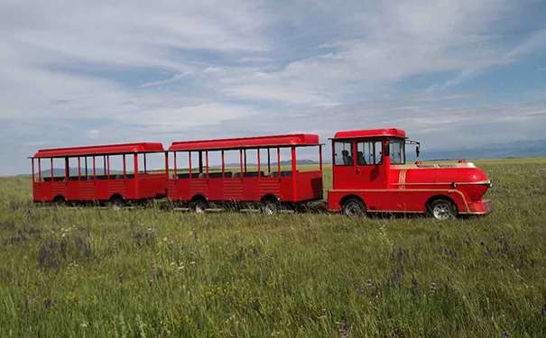 現(xiàn)代款紅色旅游景區(qū)觀光無(wú)軌小火車(chē)